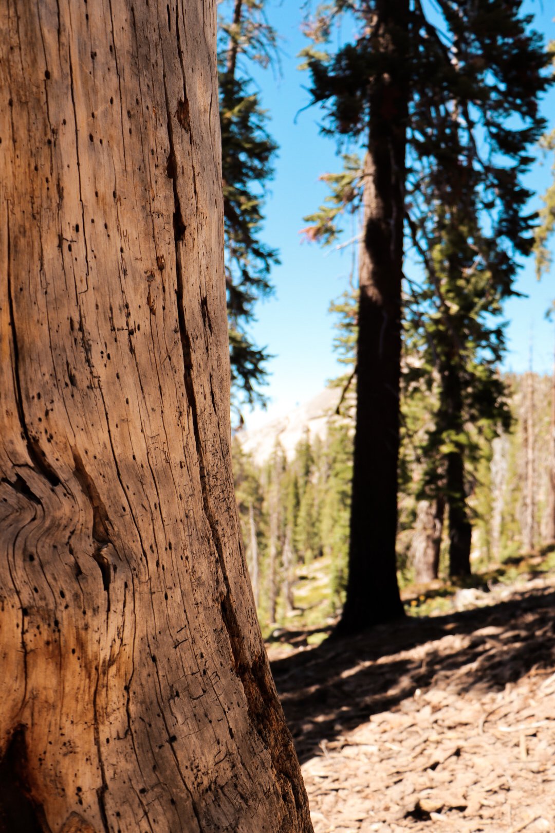 Photo by Harris Campbell