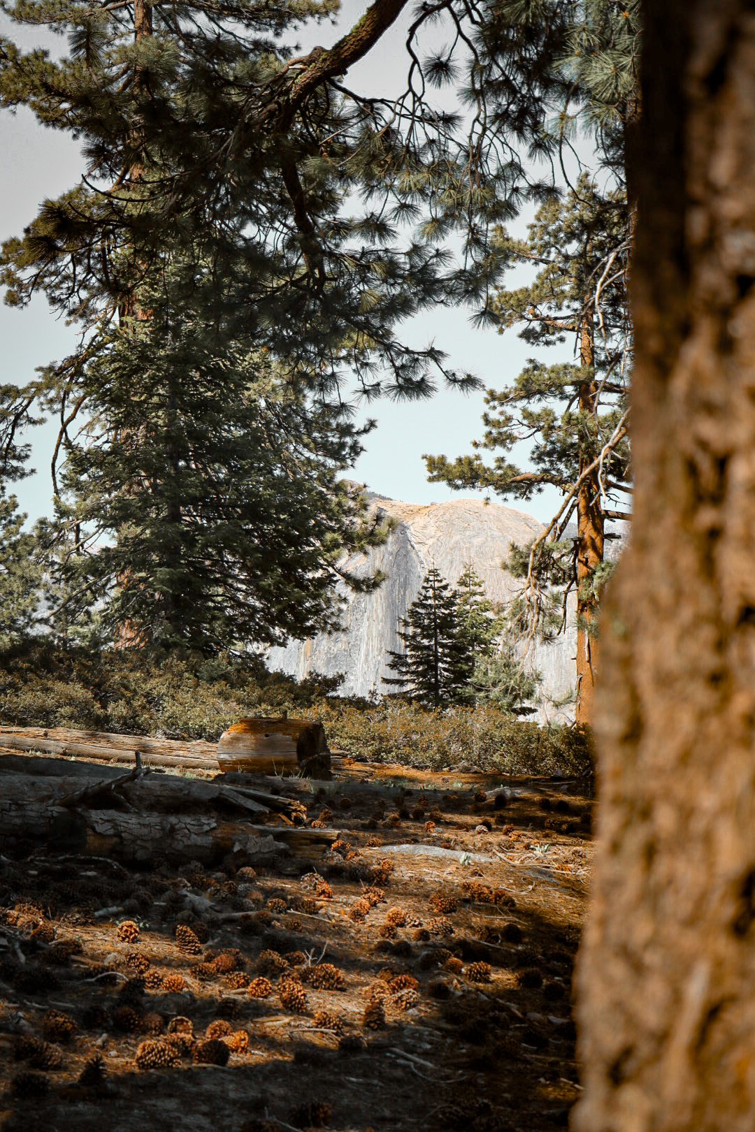 Photo by Harris Campbell