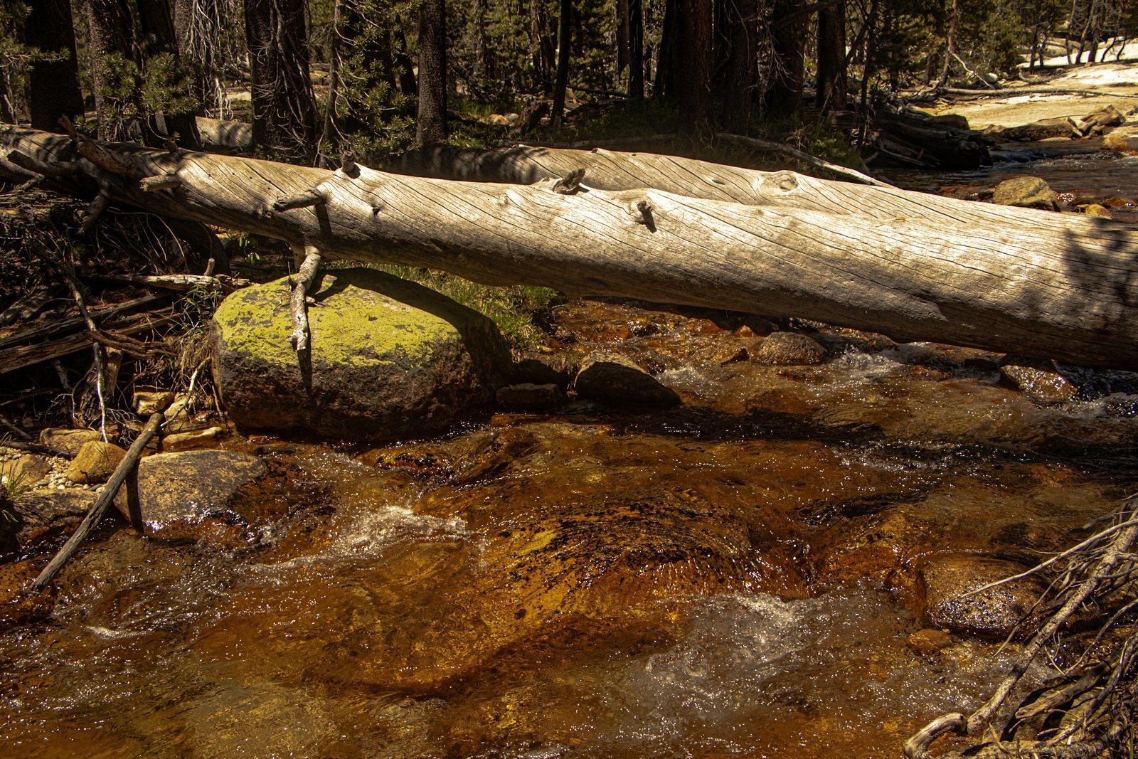 Photo by Harris Campbell