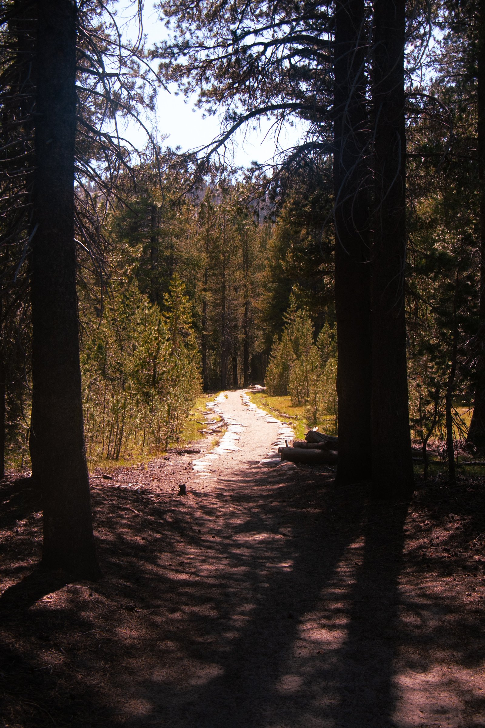 Photo by Harris Campbell