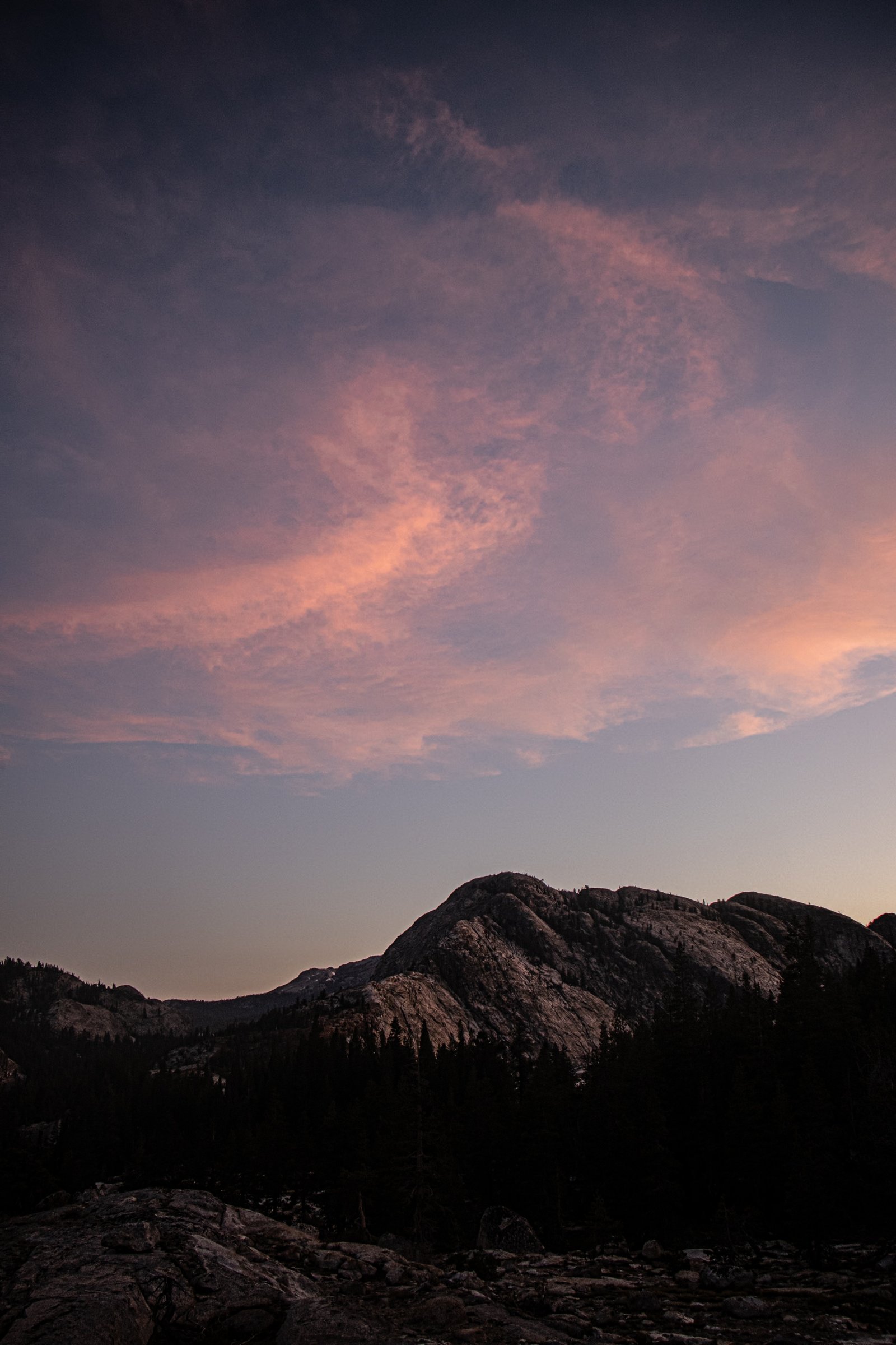 Photo by Harris Campbell