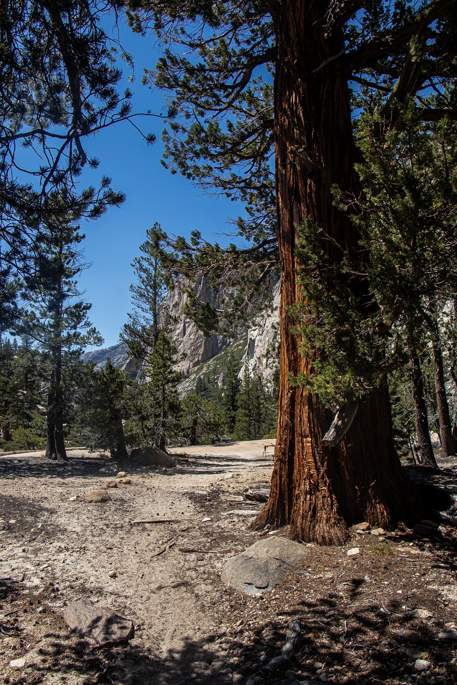 Photo by Harris Campbell