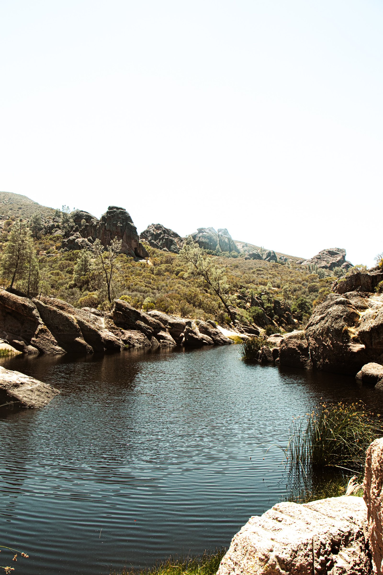 Photo by Harris Campbell