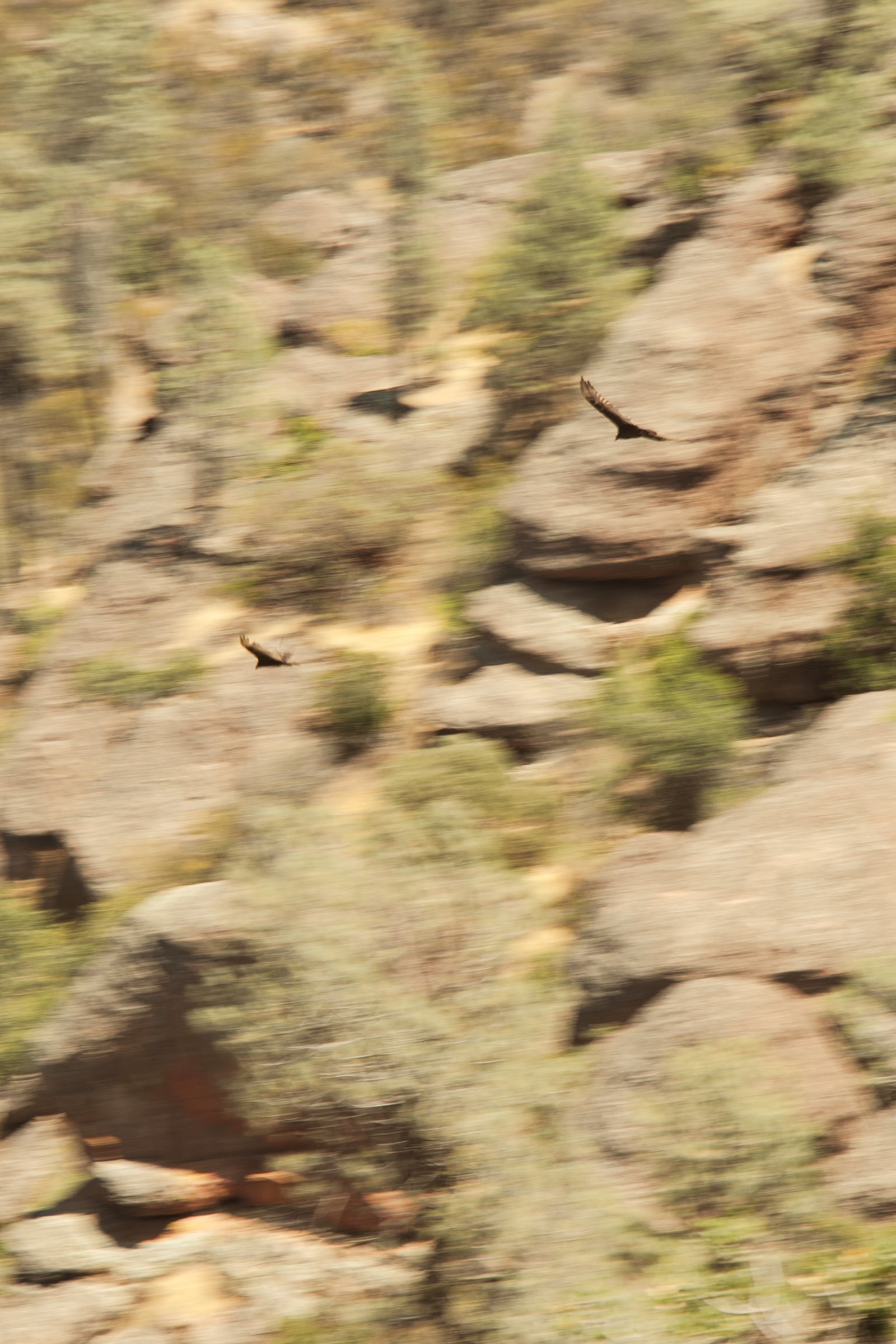 Photo by Harris Campbell