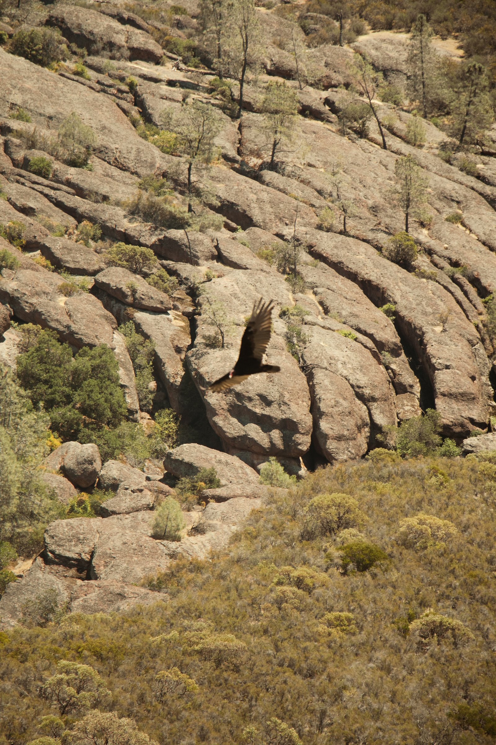 Photo by Harris Campbell