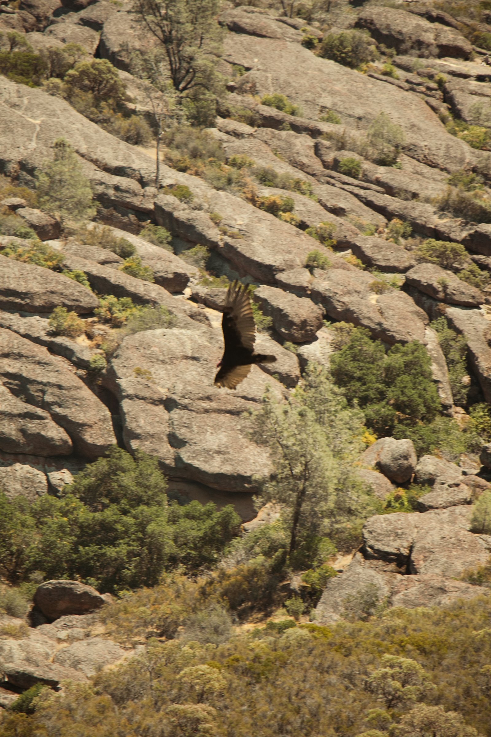 Photo by Harris Campbell