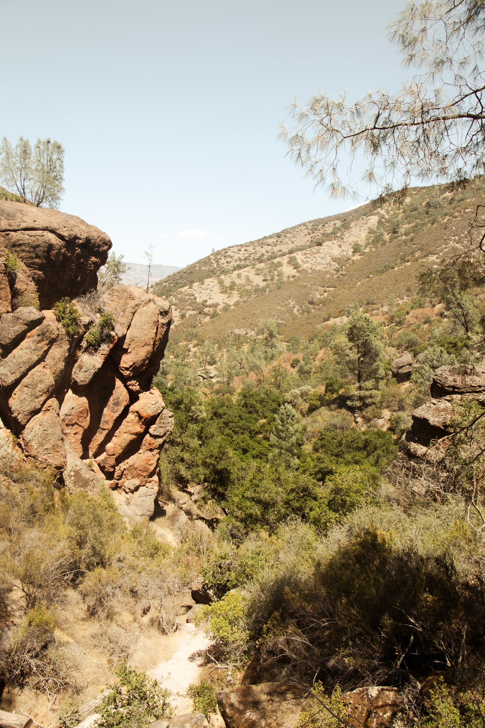 Photo by Harris Campbell