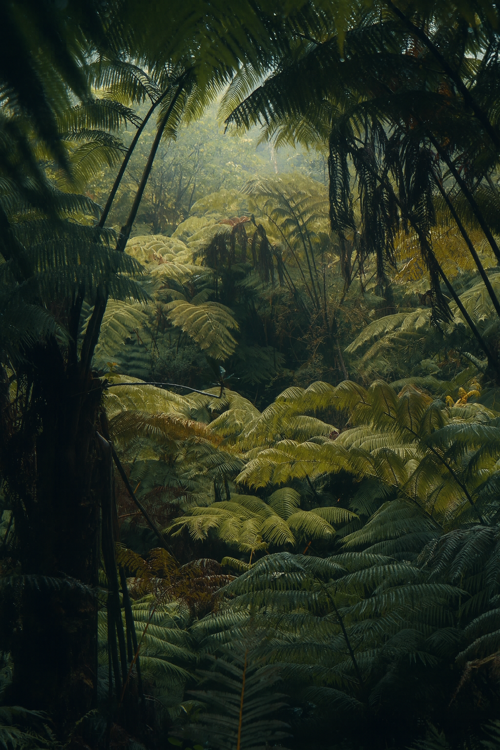 Photo by Harris Campbell